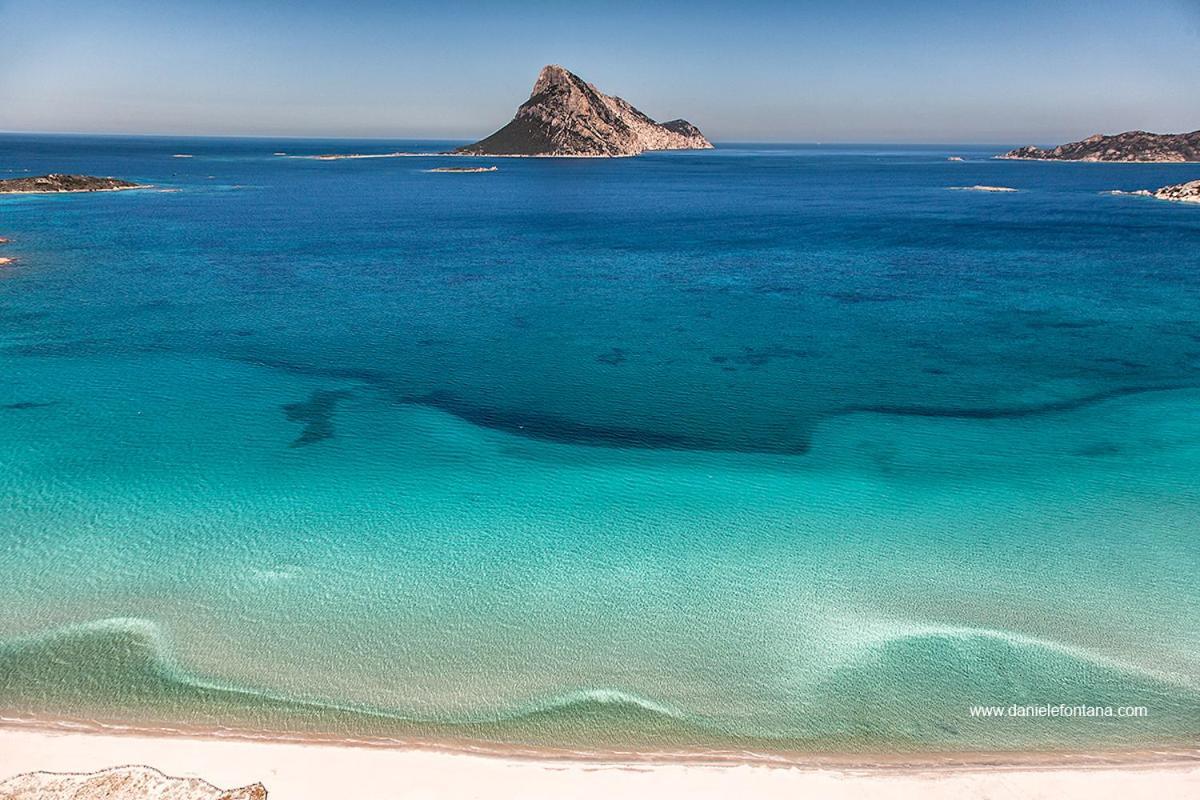 Aria Di Vacanza - Gelsi Olbia Extérieur photo