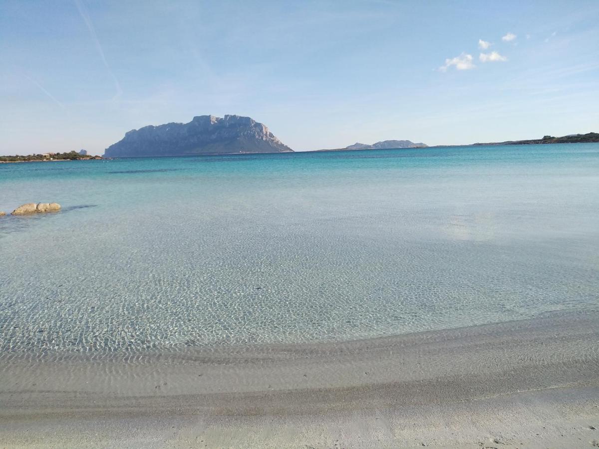 Aria Di Vacanza - Gelsi Olbia Extérieur photo