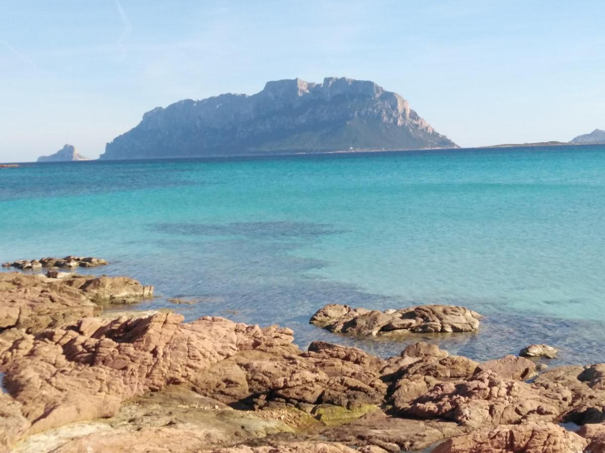Aria Di Vacanza - Gelsi Olbia Extérieur photo